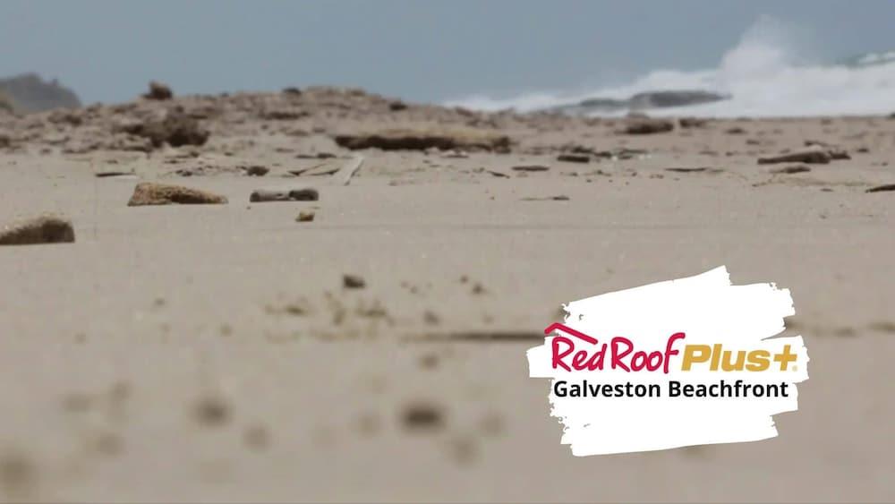 Red Roof Inn Plus + Galveston - Beachfront Екстер'єр фото